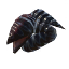 Leech