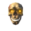 Skeleton