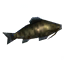 Giant Herring